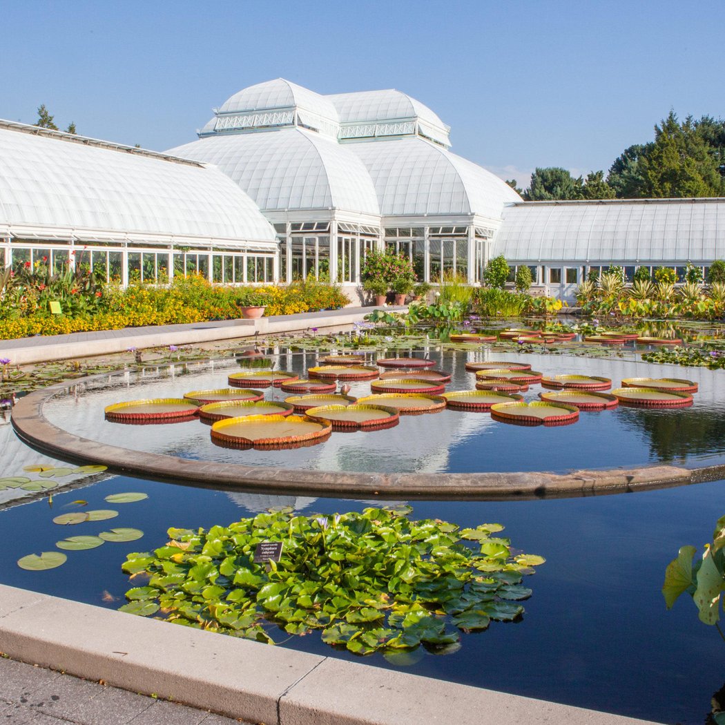 Summer of Moomin at NYBG 3
